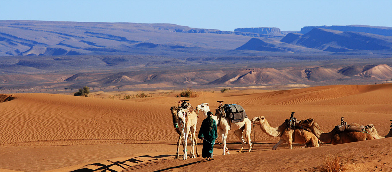 Marrakech to Zagora Desert 2 day sahara Morocco tour