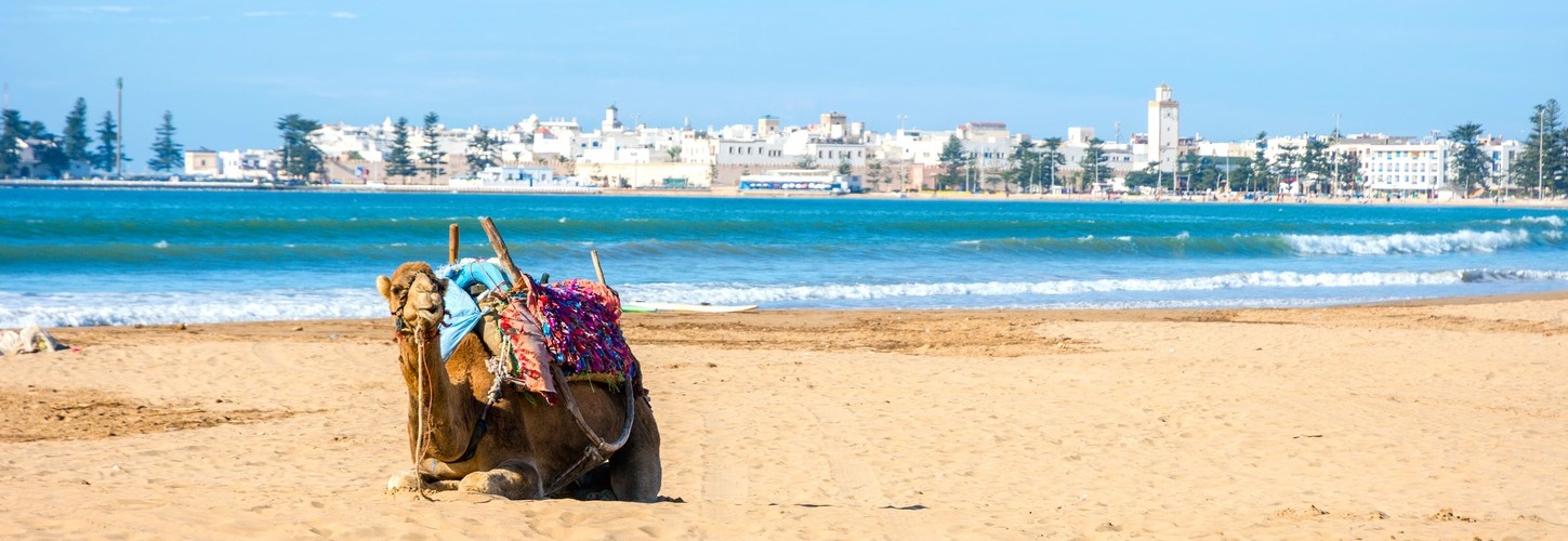 Day trip Marrakech to Essaouira Marrakech tours and day trips