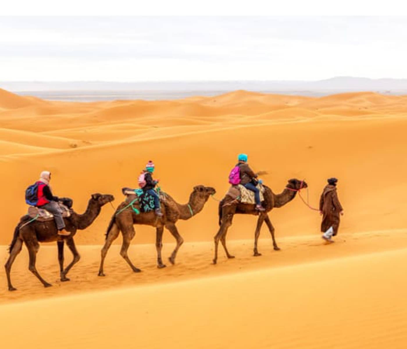 2 days desert tour Errachidia to Marrakech