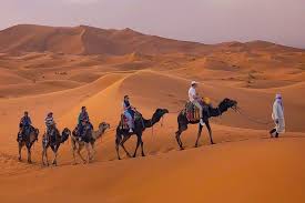 2 Nights camping in Merzouga camel trekking