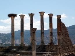 Day tour fes to volubilis