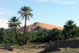 Honeymoon in sahara sightseeing tour