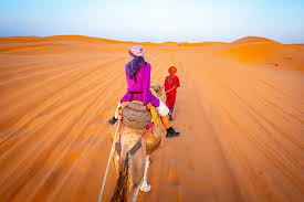 6 days tour from Casablanca to Marrakech