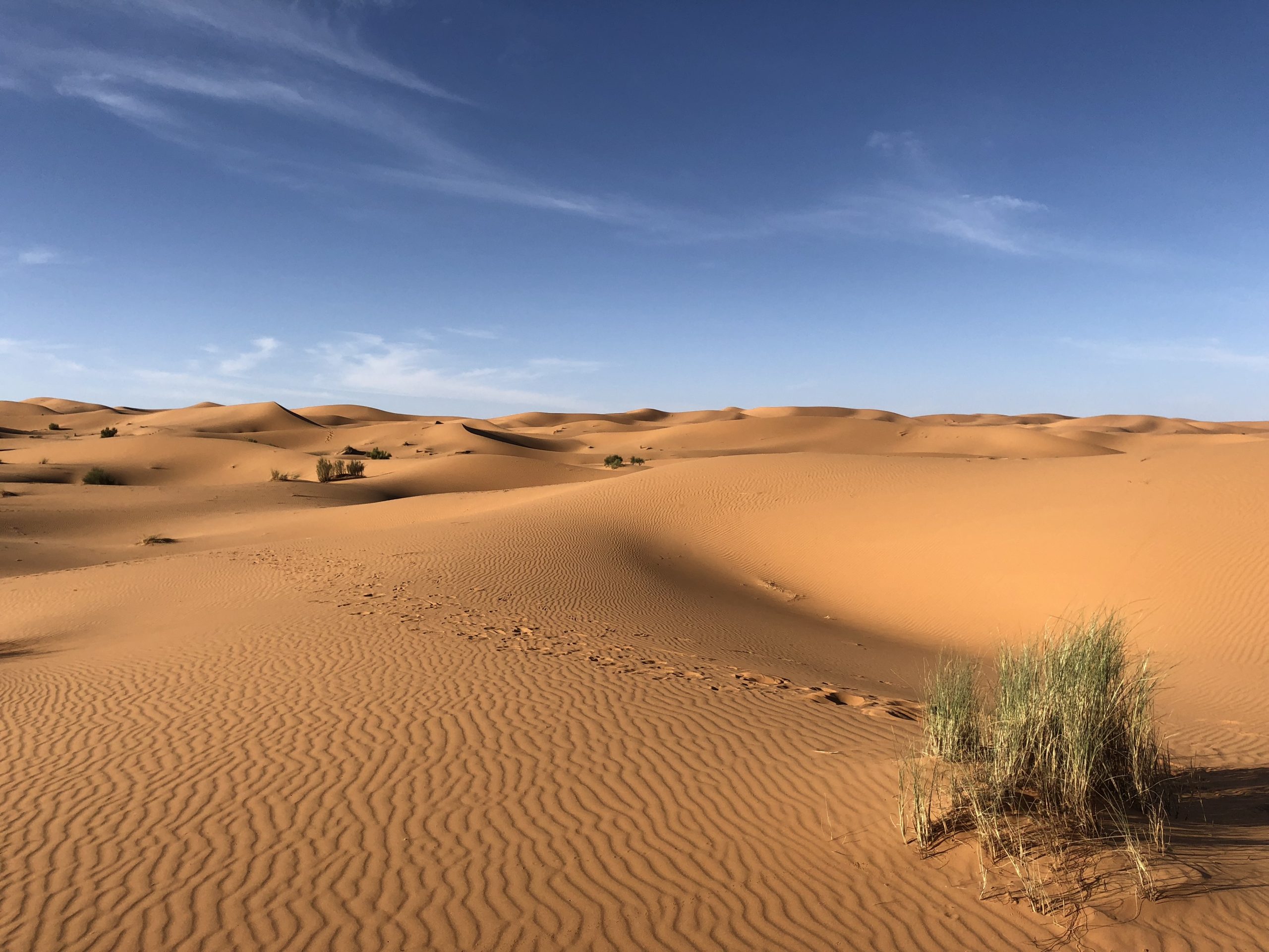 2 Days Desert tour from Marrakech to Zagora