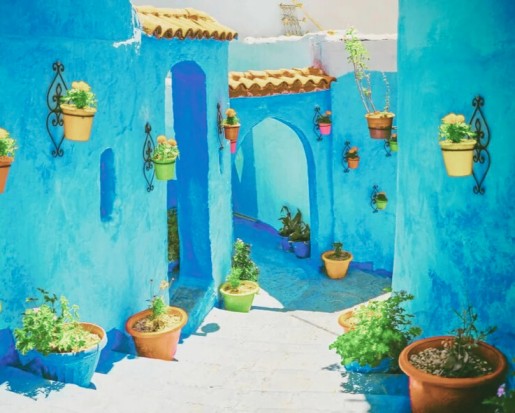 7 days tour from Casablanca to Marrakech by Rabat , Fes