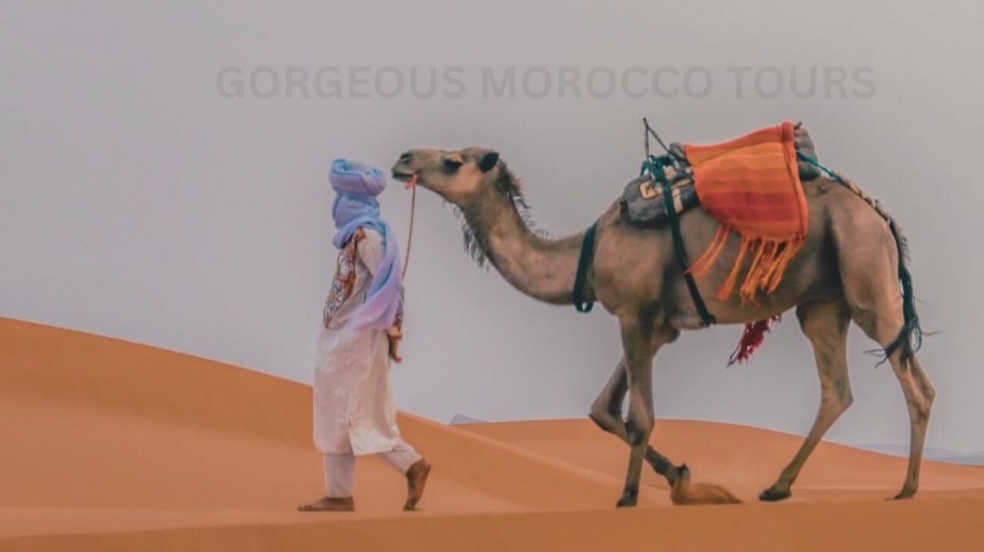 2 days tour from Fes to Marrakech via Merzouga Desert