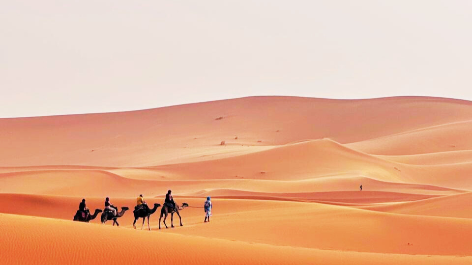 5 best camel trekking Merzouga.