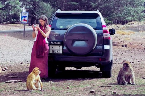 2 days Marrakech to Fes.