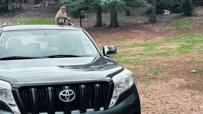 5 days from Festo Merzouga