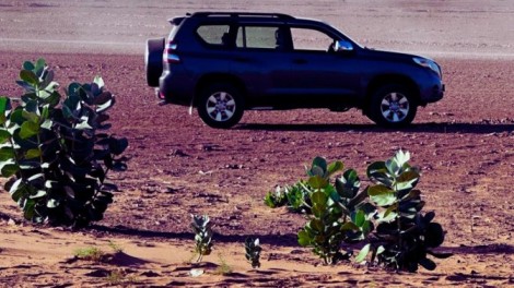 5 days itinerary from Fes to Erg Chebbi